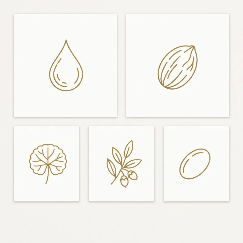 Iconos de los activos de OROBORN Facial Moisturising Cream
